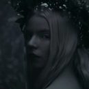 Русский трейлер фильма «Варяг» с Аней Тейлор-Джой и Николь и Александром Скарсгардом